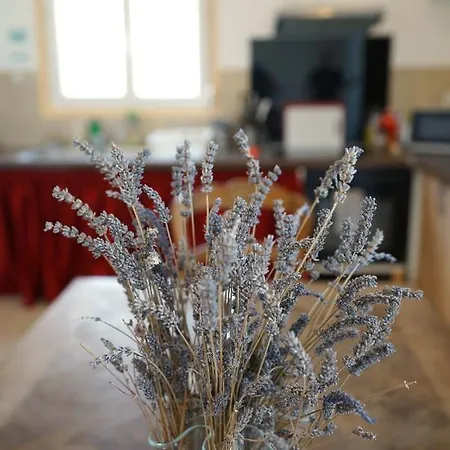 Arbre De Vie Luksustelt