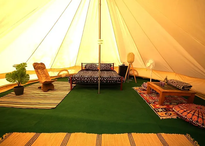 Glamping Arbre De Vie Montagnac (Alpes-de-Haute-Provence)