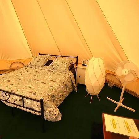 Arbre De Vie * Montagnac (Alpes-de-Haute-Provence)